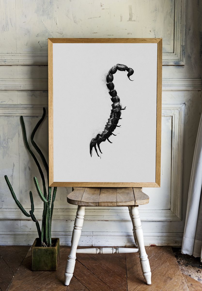 Scorpion Silhouette Black-White Poster. room preview