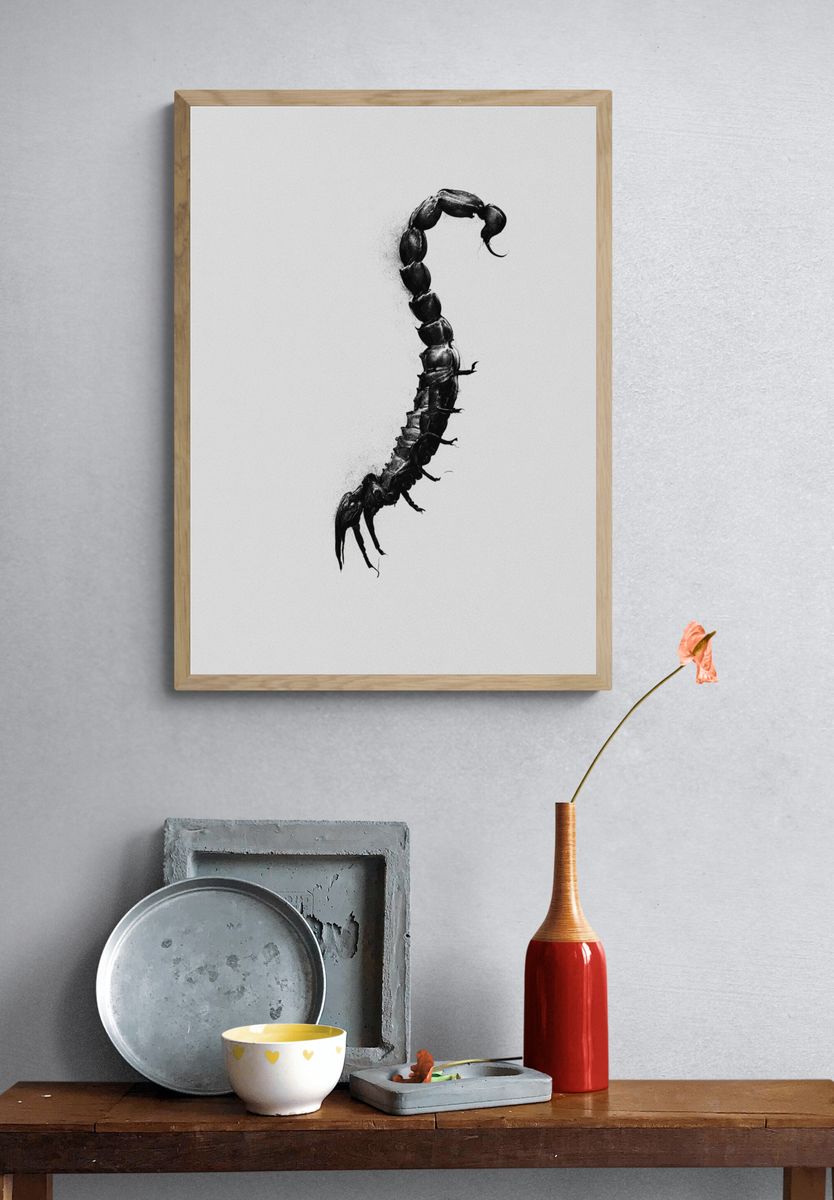 Scorpion Silhouette Black-White Poster. — room view 3
