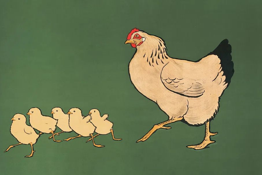 Hen & chickens (1901). Original. poster — animals art