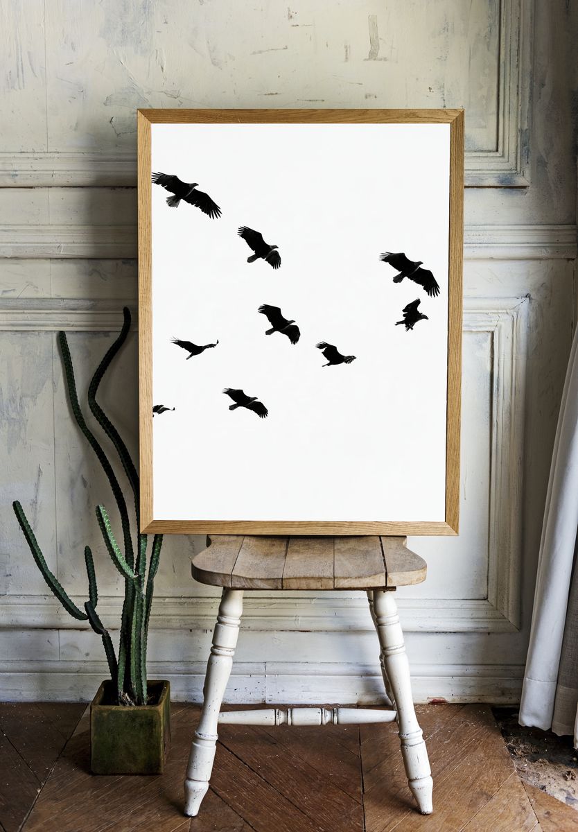 Flying Birds Black-White Poster. — room view 1