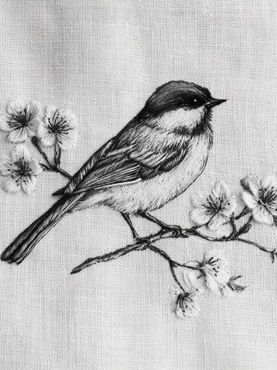 Chickadee Blossom Sketch Poster. poster
