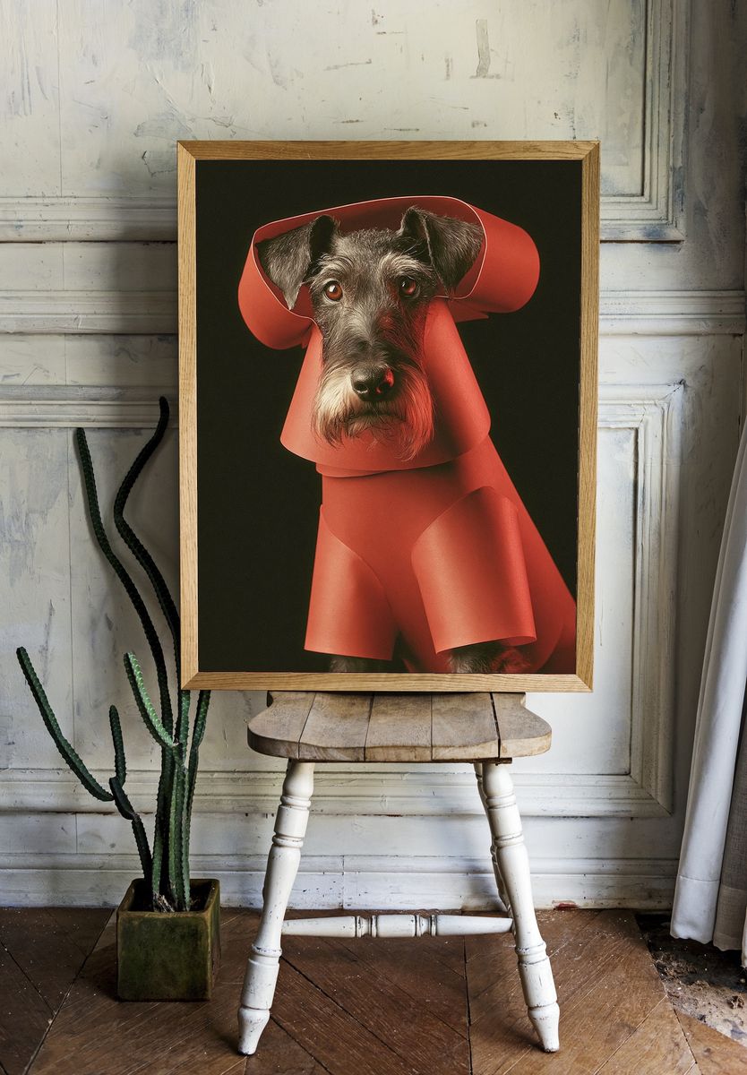 Schnauzer in Red Coat Poster. — room view 1