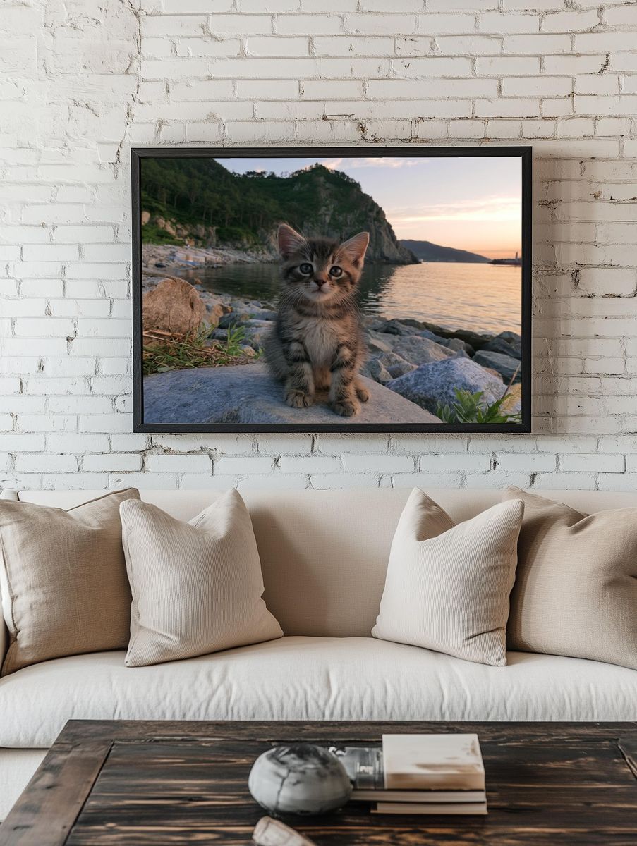 Kitten at Sunset Photography Poster. room preview