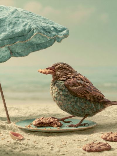 Seaside Bird with Umbrella Print. poster