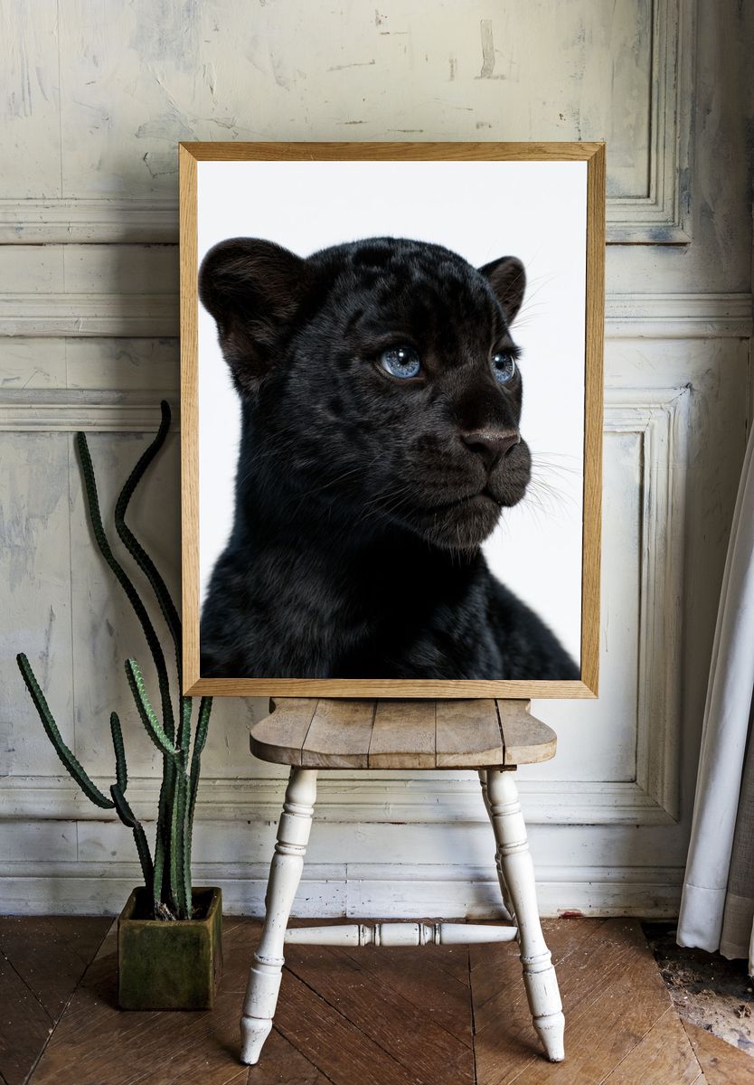 Black Panther Cub Portrait Poster. — room view 1