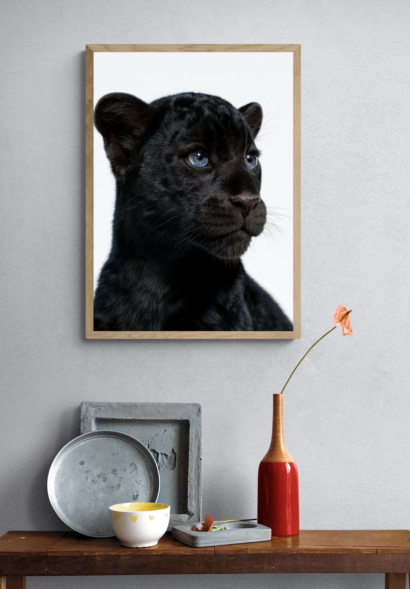 Black Panther Cub Portrait Poster. — room view 3