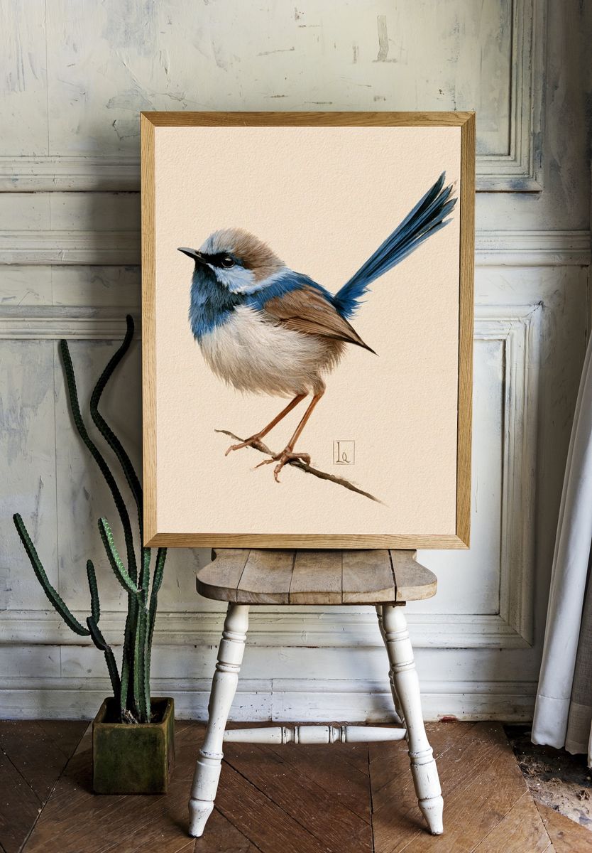 Blue Wren Watercolor Poster. room preview