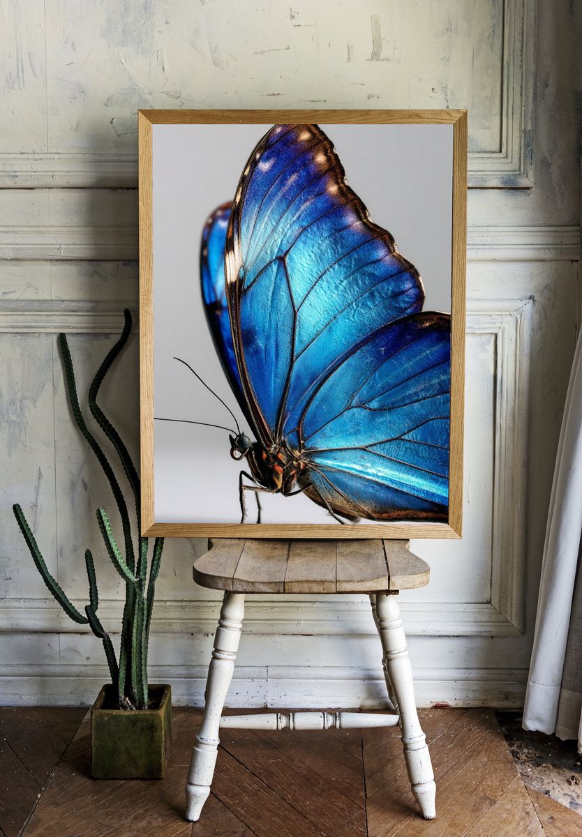 Blue Butterfly Macro Photography Poster. — room view 1