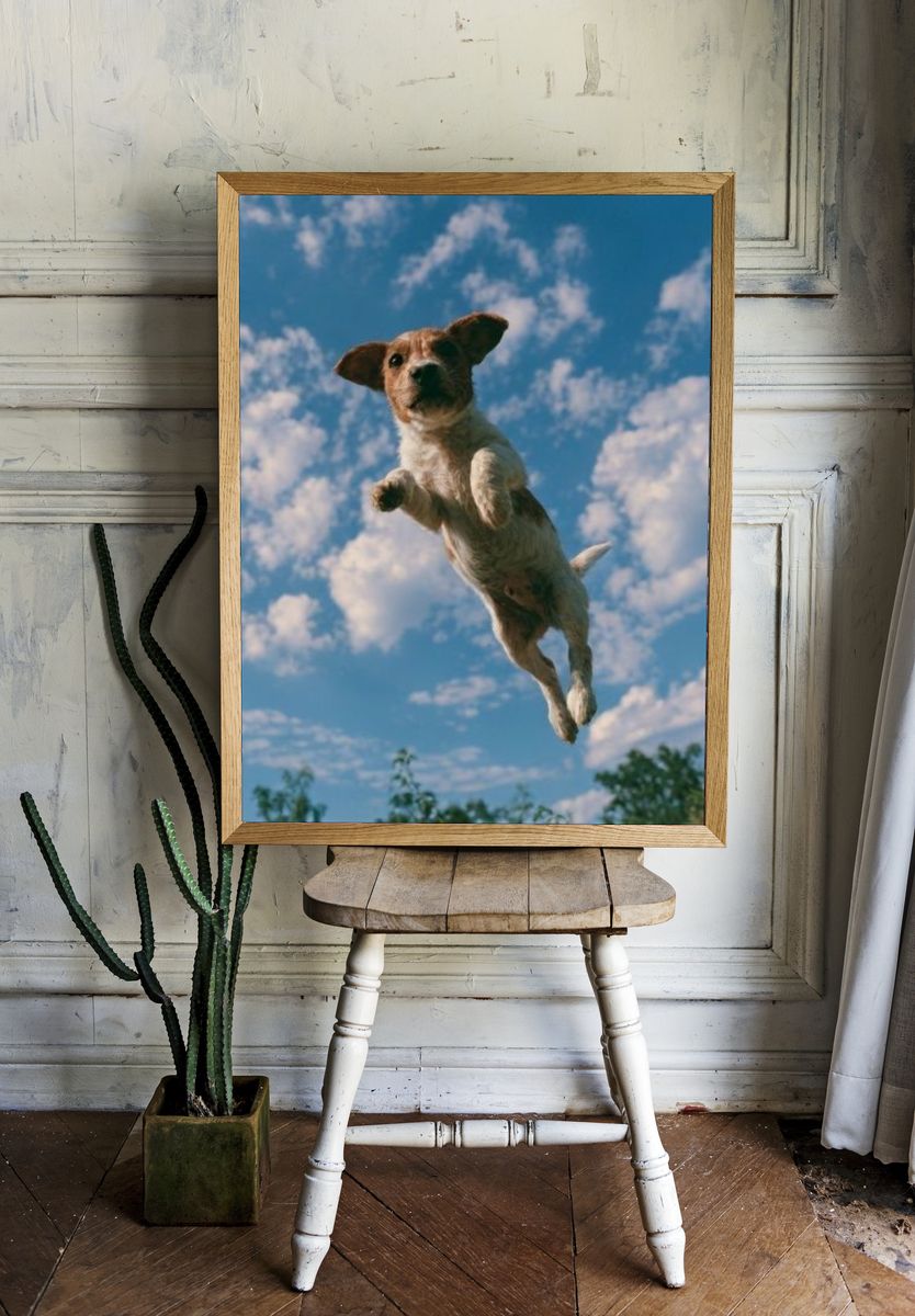 Flying Dog Photography Poster. — room view 1