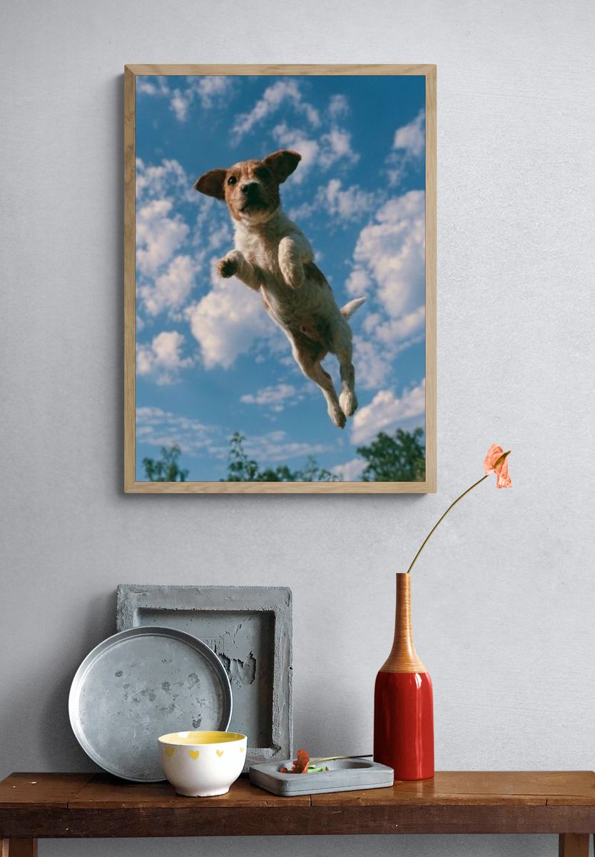 Flying Dog Photography Poster. — room view 3
