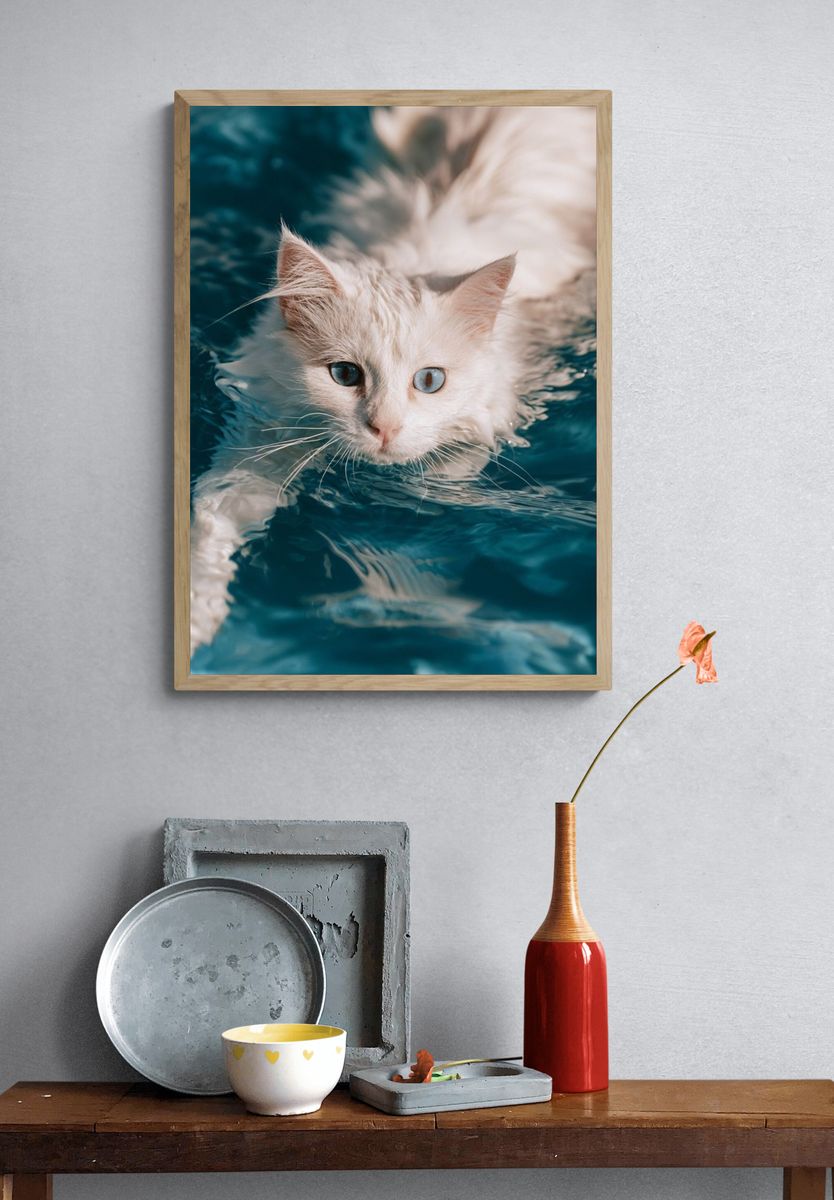 Blue-Eyed Cat in Water Photography Poster. — room view 3