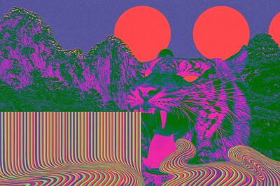 Psychedelic Cat Landscape Poster. poster