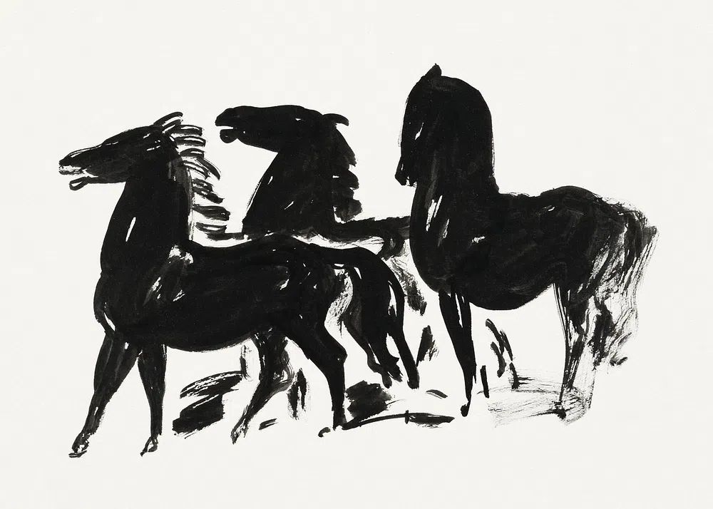 Drie zwarte paarden staand naar. poster detail