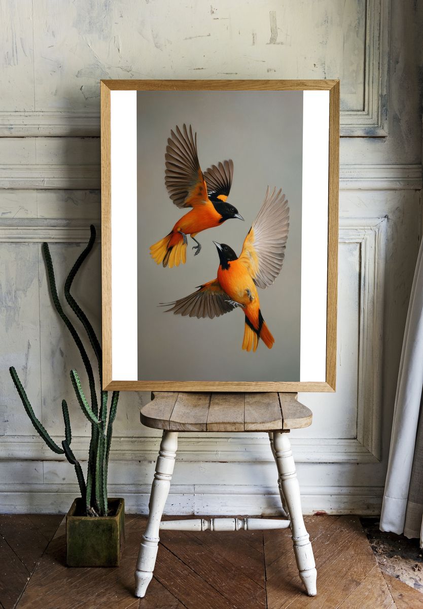 Orioles in Flight Illustration Poster. — room view 1