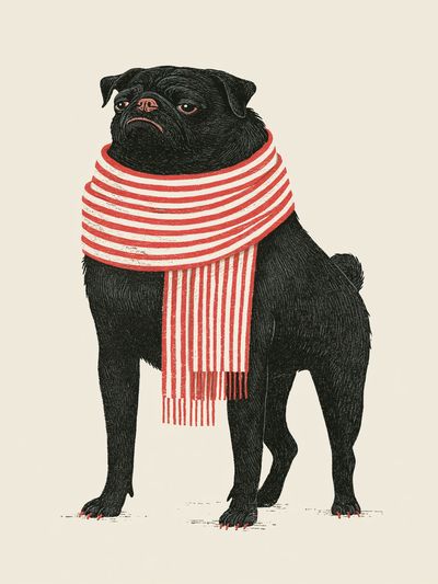 Pug in Striped Scarf Illustration Poster. poster