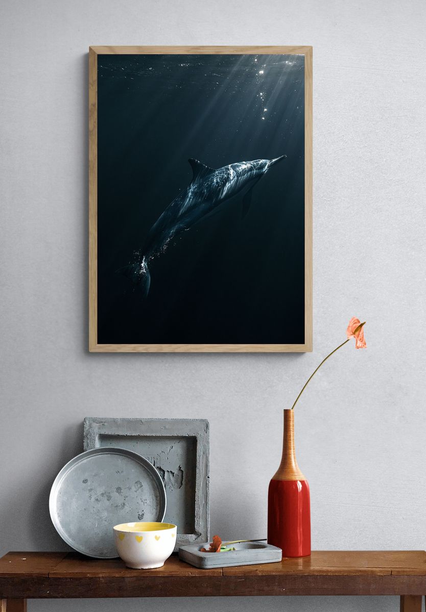 Underwater Dolphin Photography Poster. — room view 3
