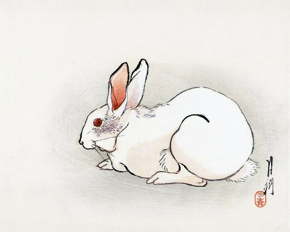Wit konijn (1900–1910) print high. poster — animals art