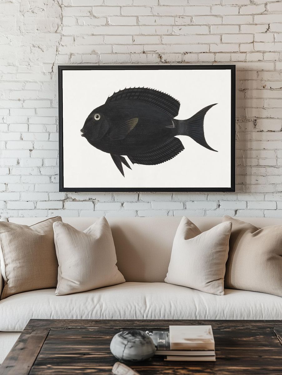 Unidentified Fish (1737–1770), vintage animal. — room view 1