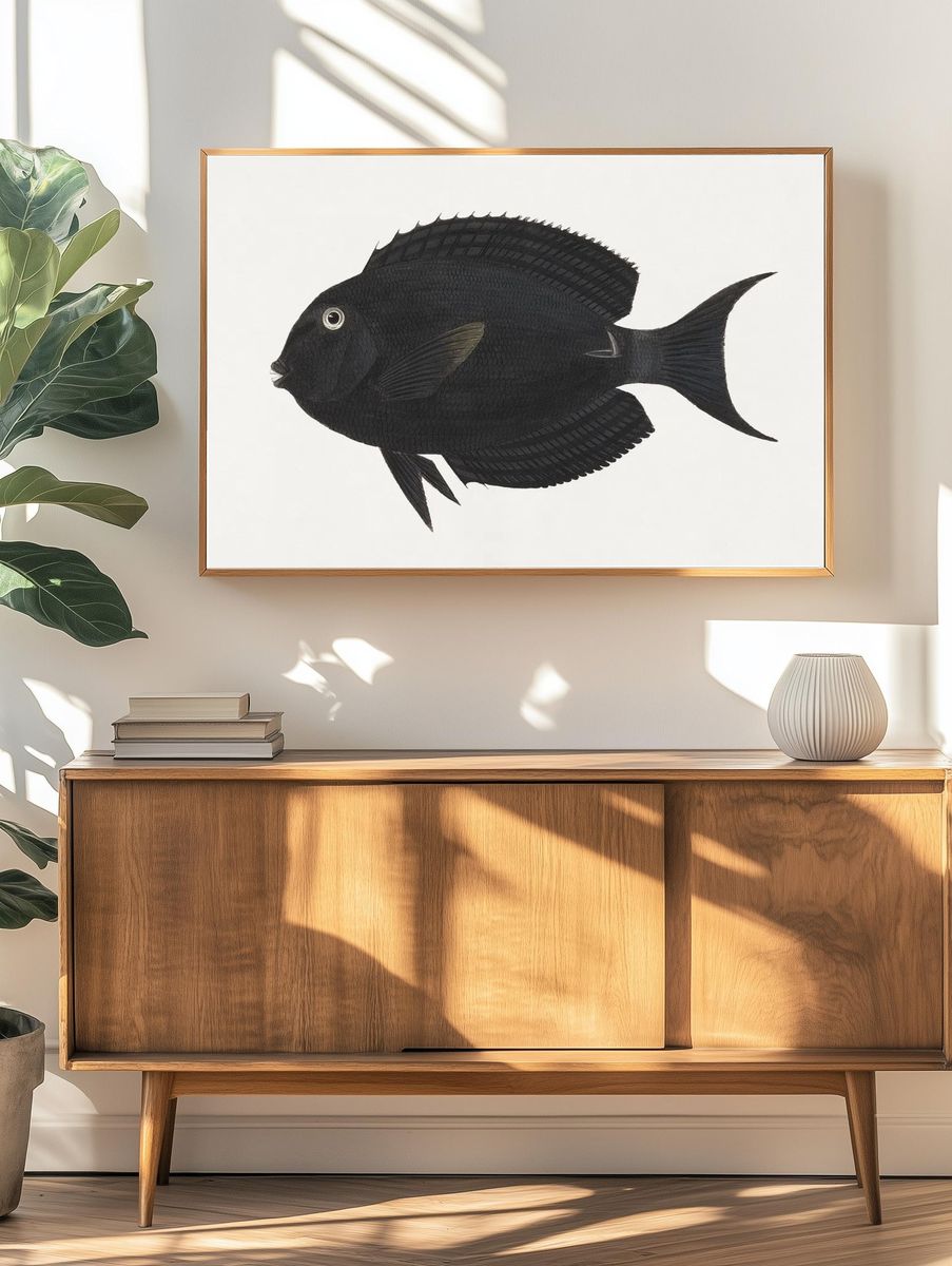 Unidentified Fish (1737–1770), vintage animal. — room view 3