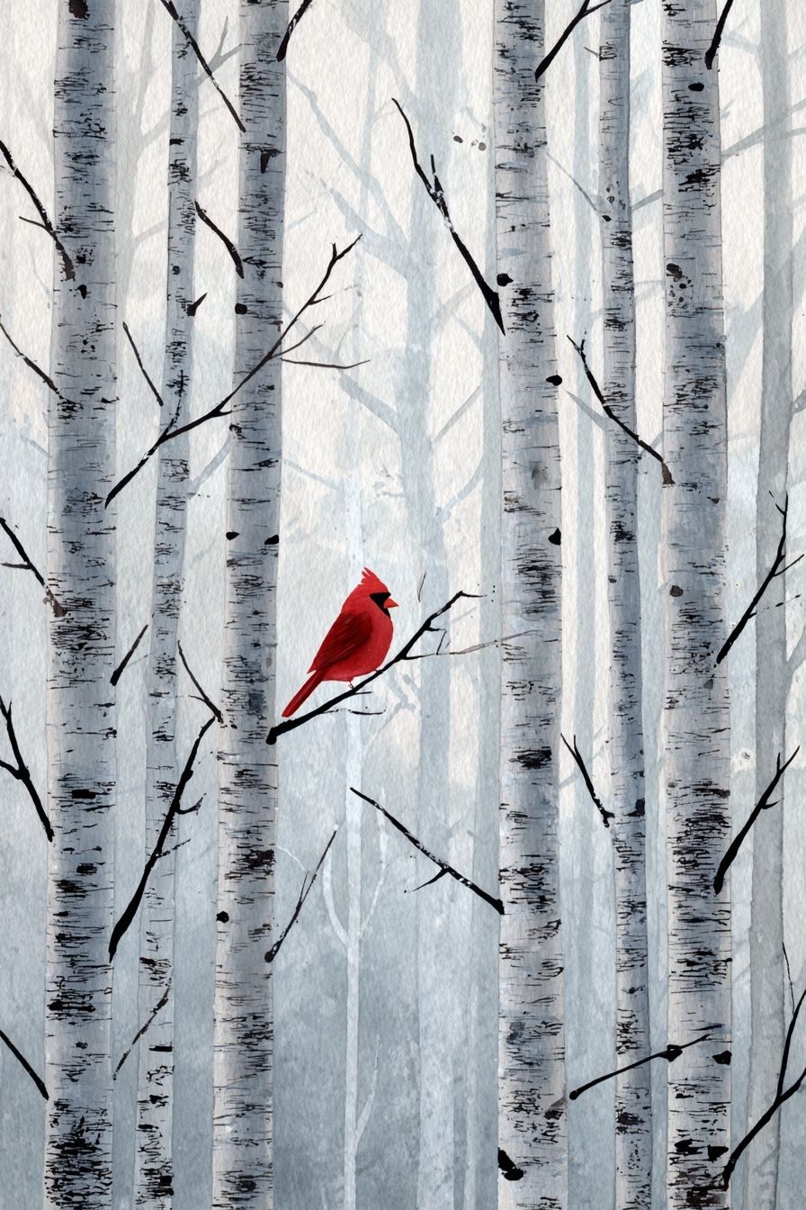 Red Cardinal Birch Forest Print. poster — animals art