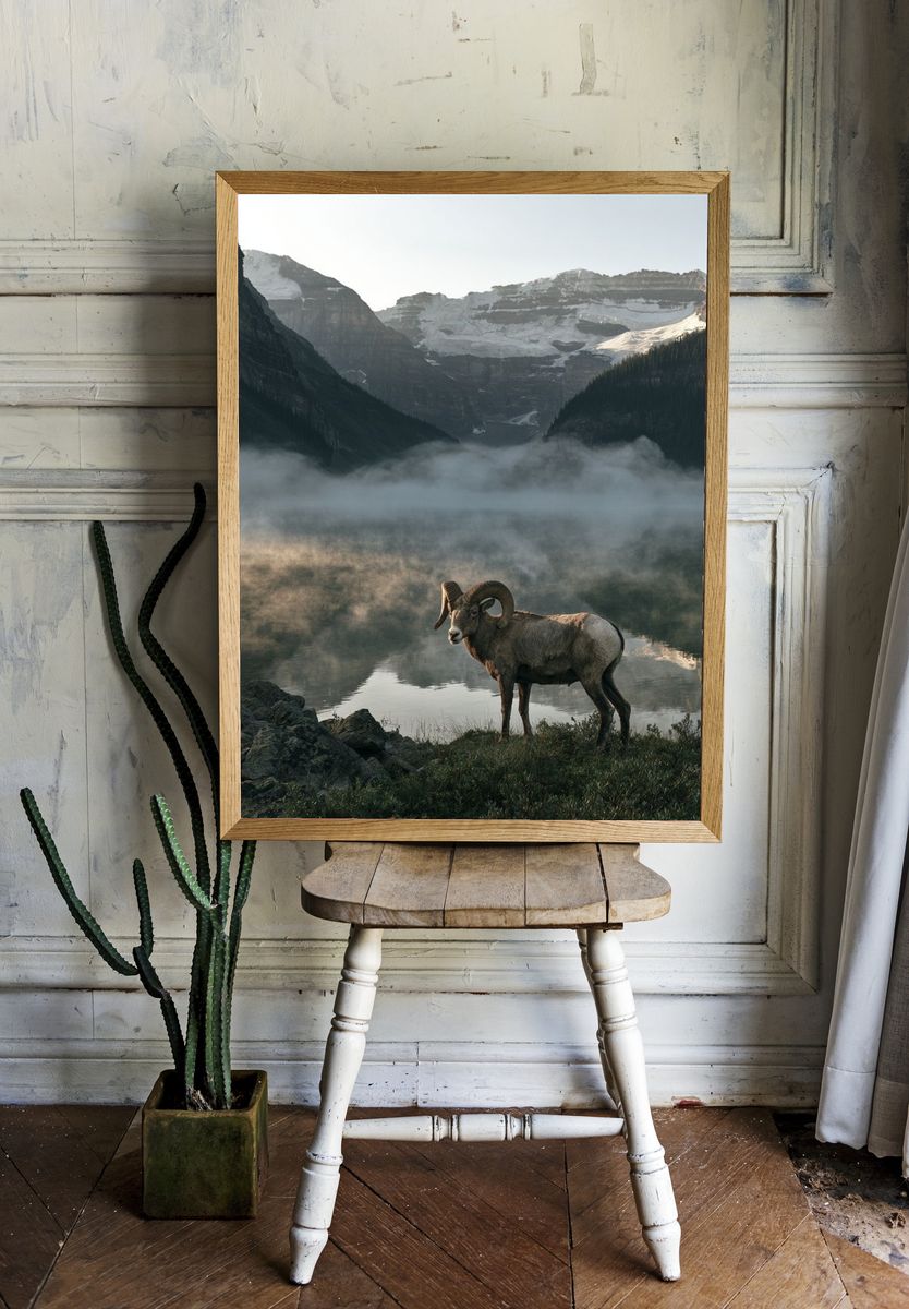 Mountain Ram Landscape Poster. — room view 1