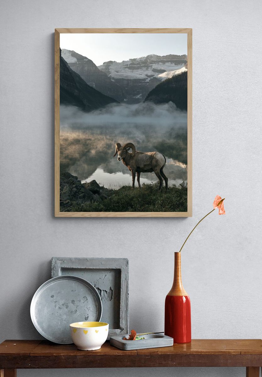 Mountain Ram Landscape Poster. — room view 3