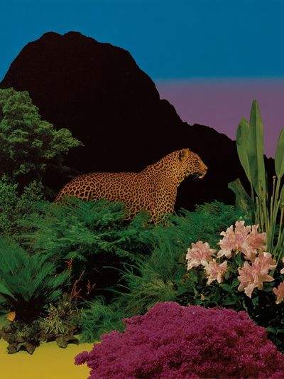 Jungle Leopard Collage Poster. poster