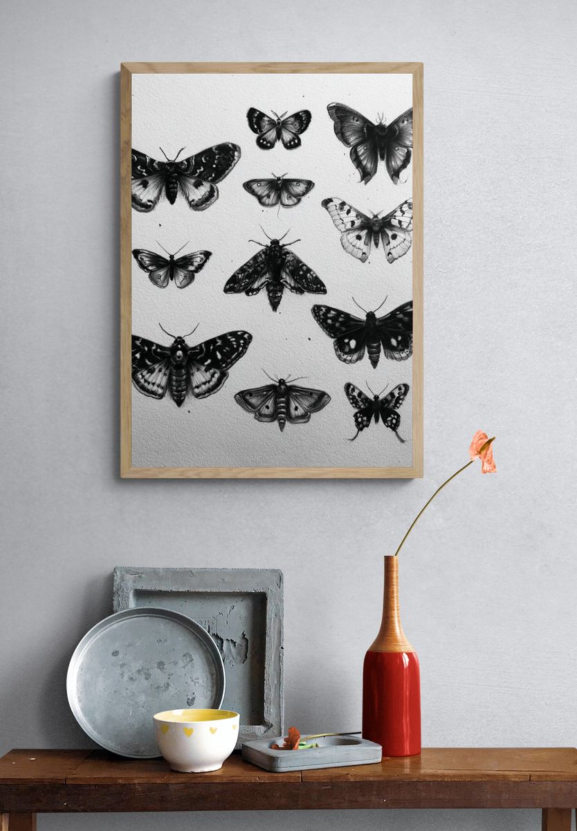 Butterfly Study Black-White Print. — room view 3