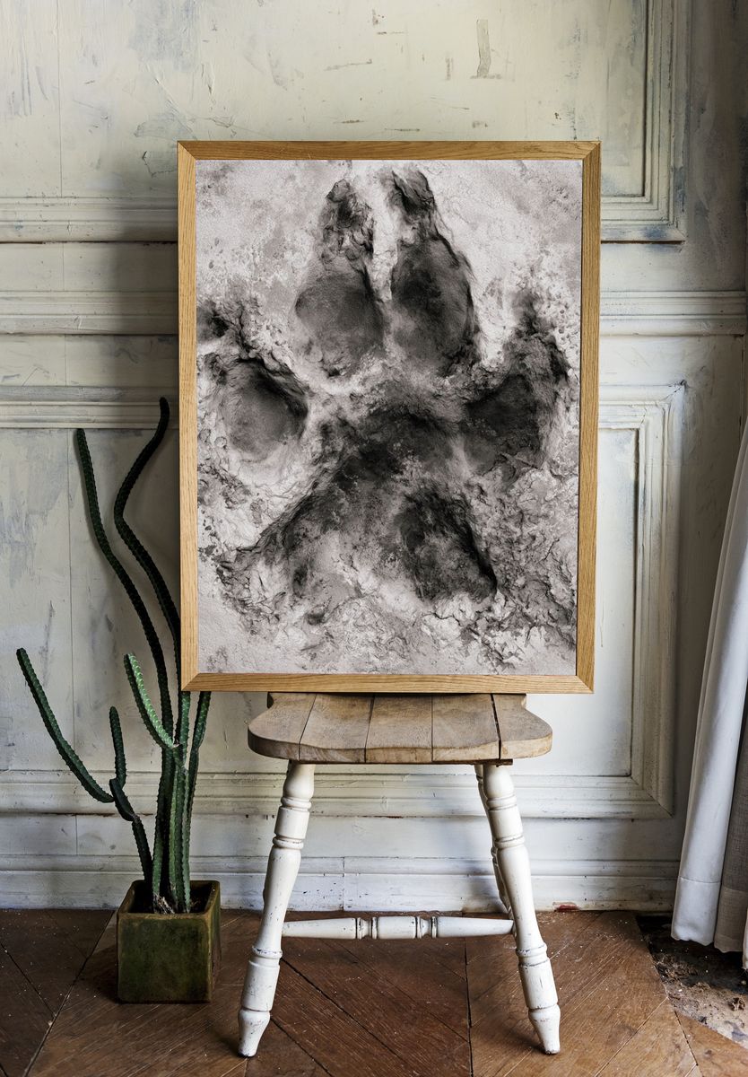 Paw Print Abstract Poster. — room view 1