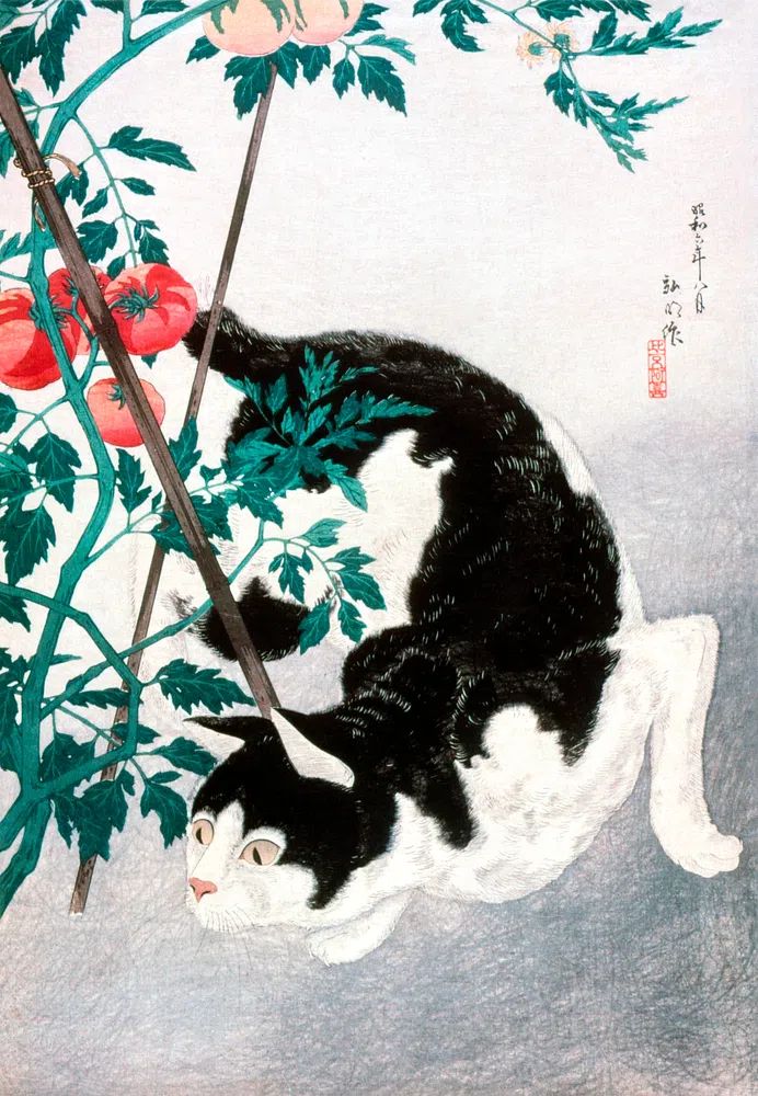 Cat Tomato Plant (1931) print. poster — animals art