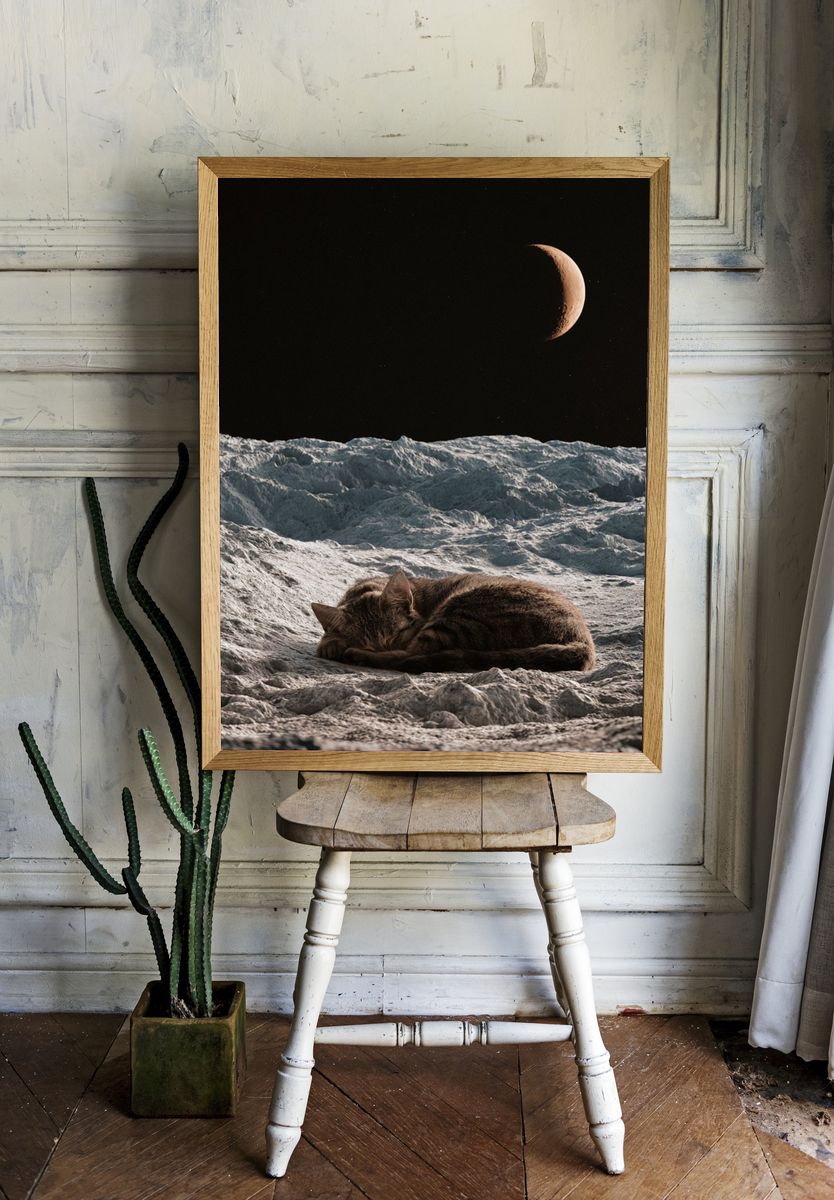 Sleeping Cat on Moon — Surreal Print. room preview