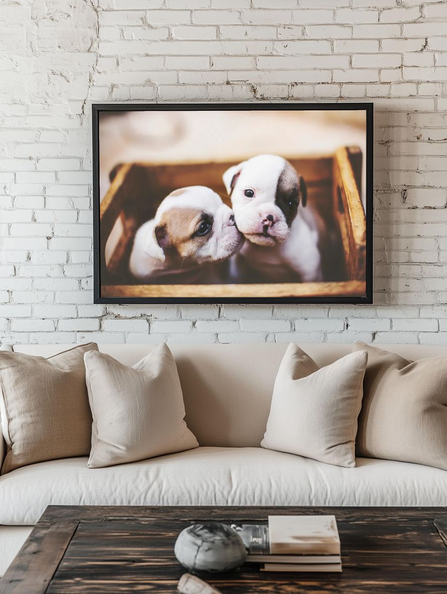 Puppy Cuddle Photography Poster. room preview