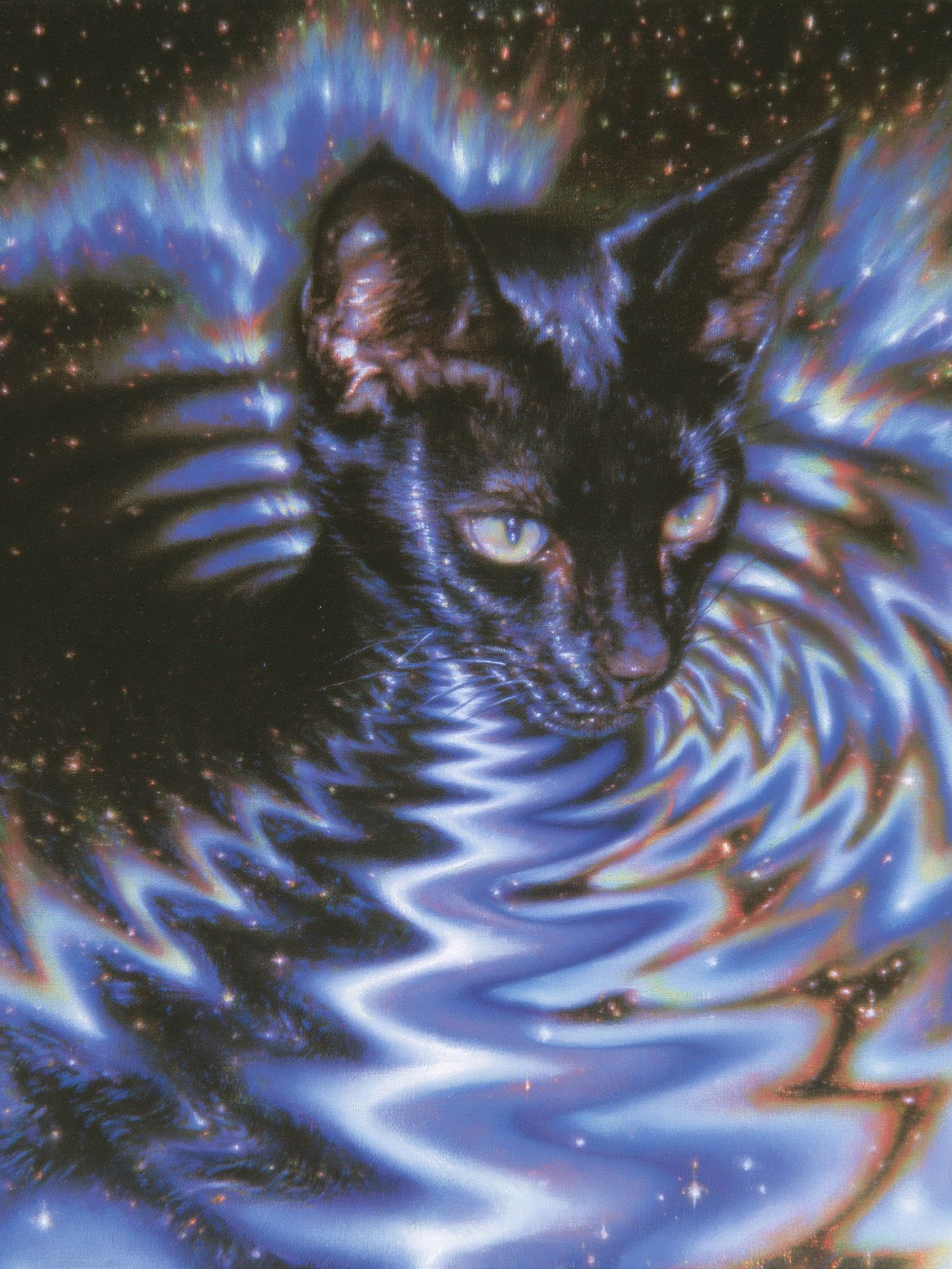 Cosmic Cat Digital Art Poster. poster detail