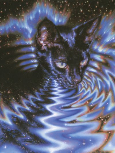 Cosmic Cat Digital Art Poster. poster