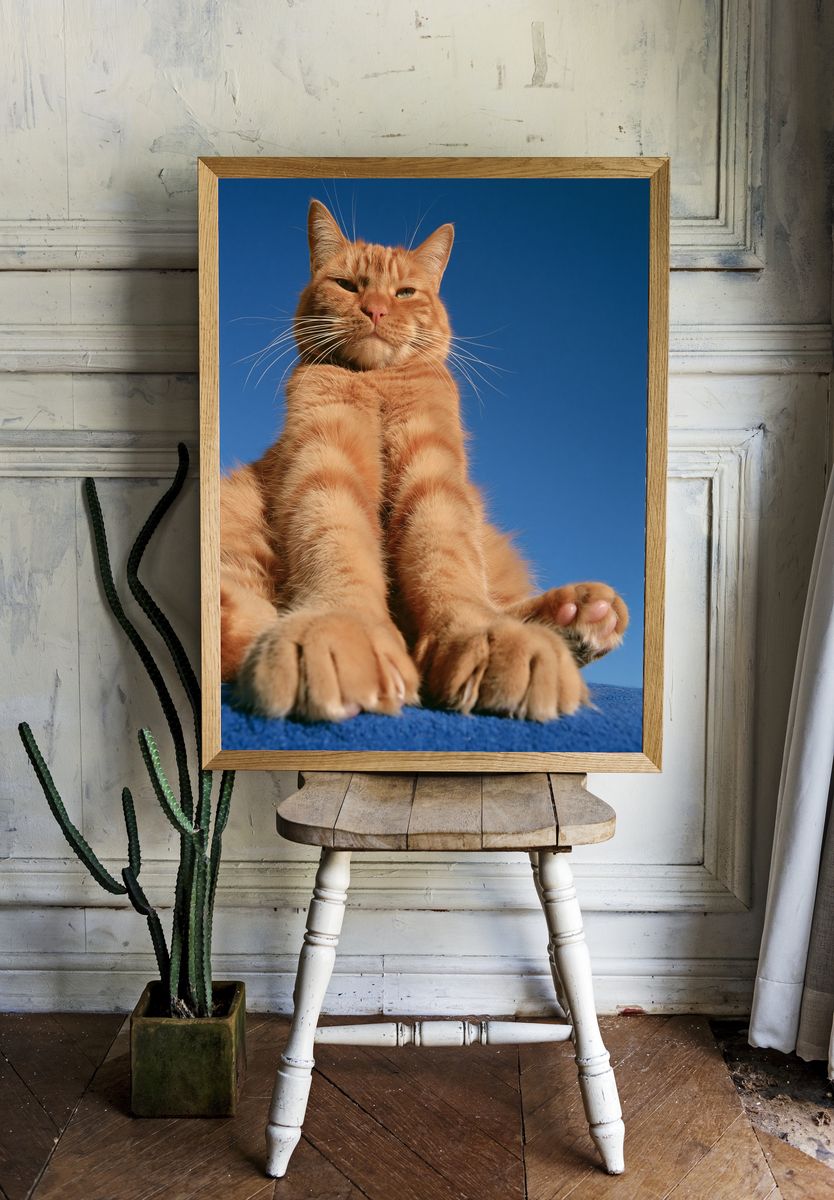 Orange Tabby Cat Portrait Poster. — room view 1