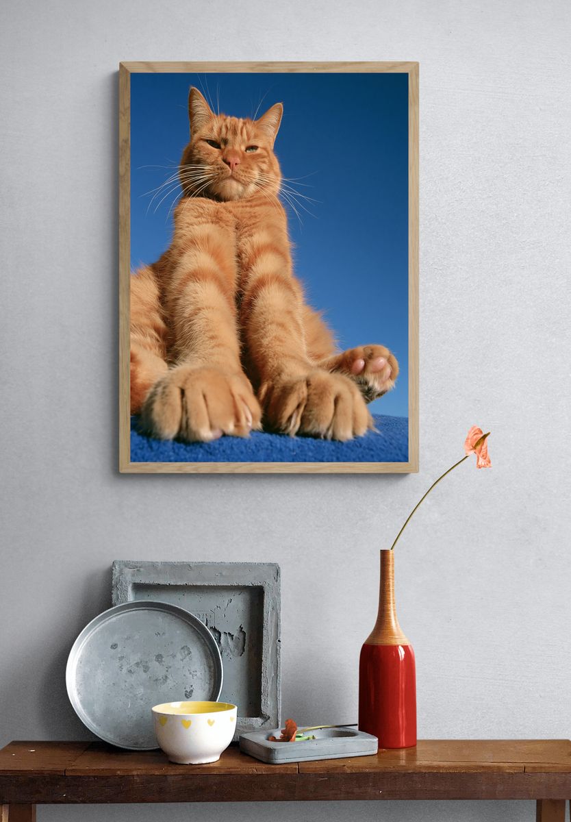 Orange Tabby Cat Portrait Poster. — room view 3