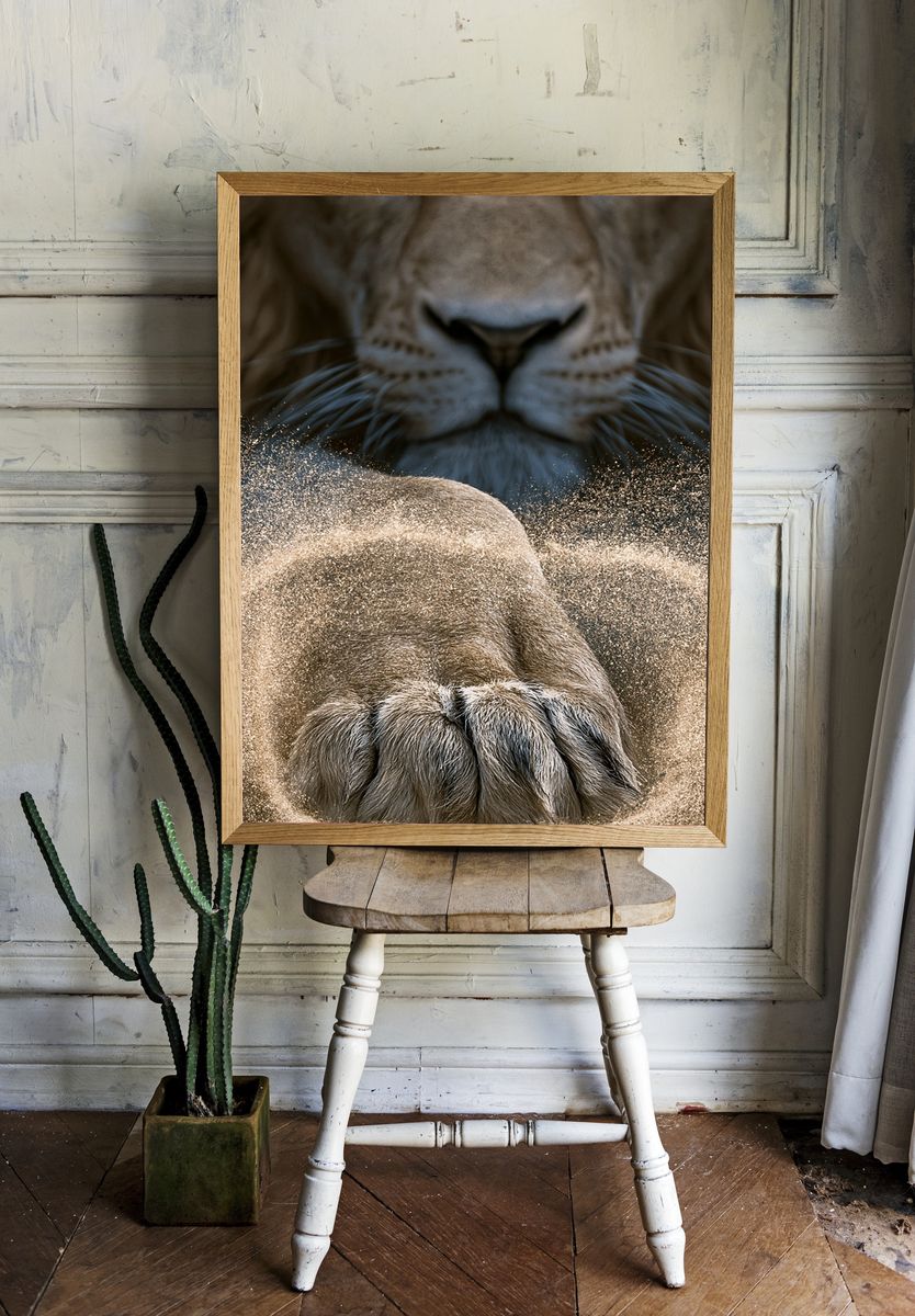 Lion Paw Close-Up Photography Poster. — room view 1