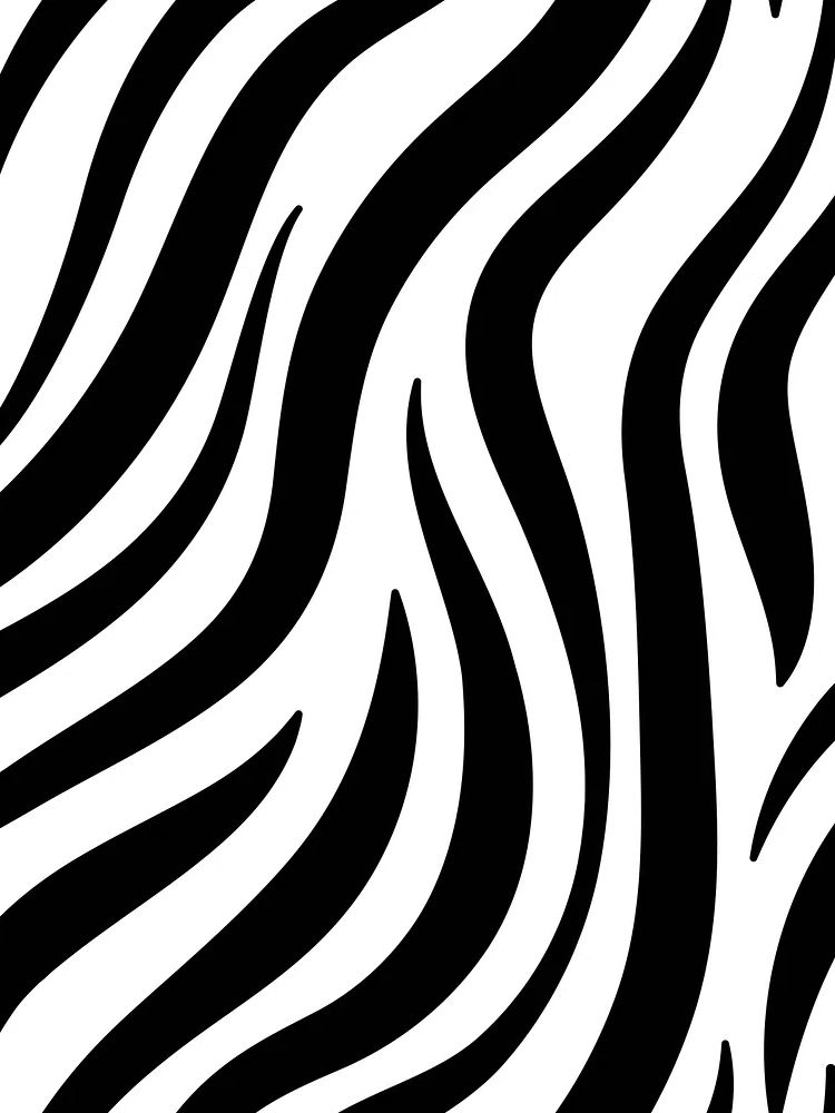 Black white zebra print pattern. poster detail