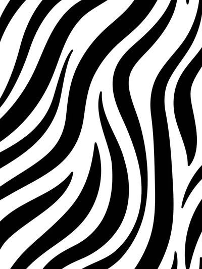 Black white zebra print pattern. poster