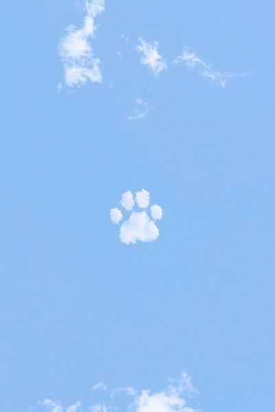 Cloud Paw Print Sky Poster. poster