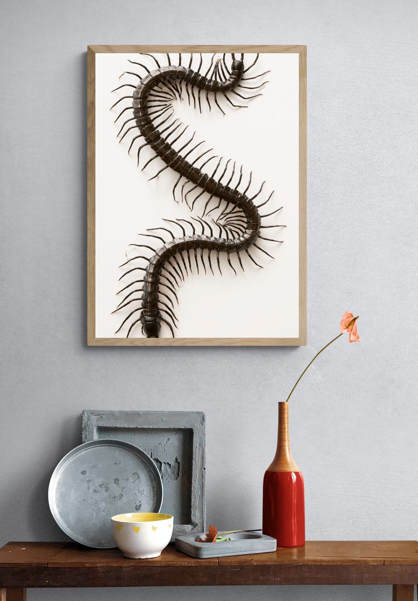 Centipede Study Photography Poster. — room view 3