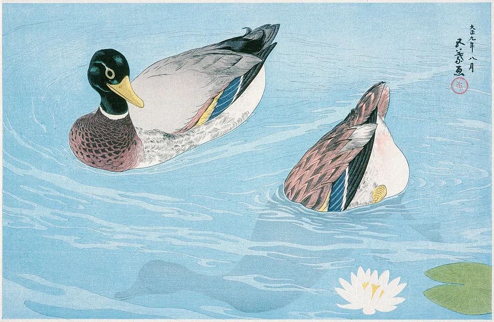 Ducks (1920) print high resolution. poster detail