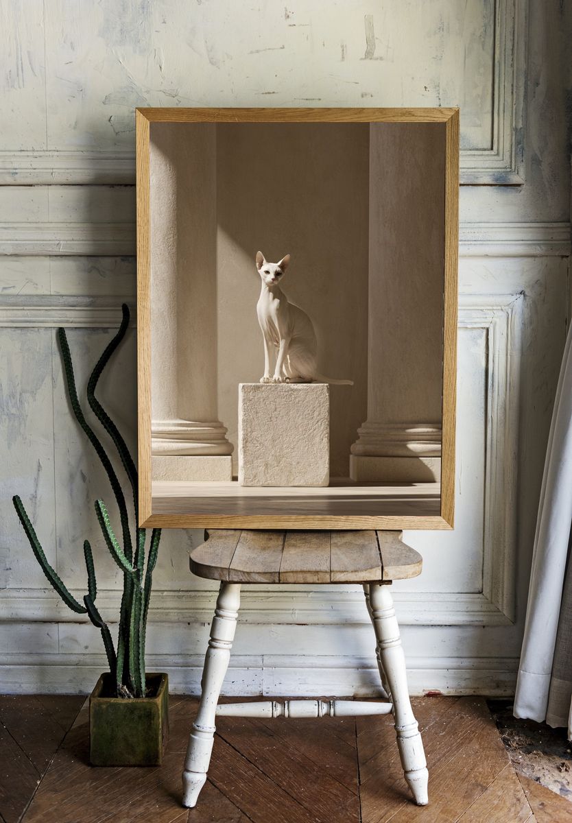 Sphynx Cat in Classical Interior Poster. — room view 1