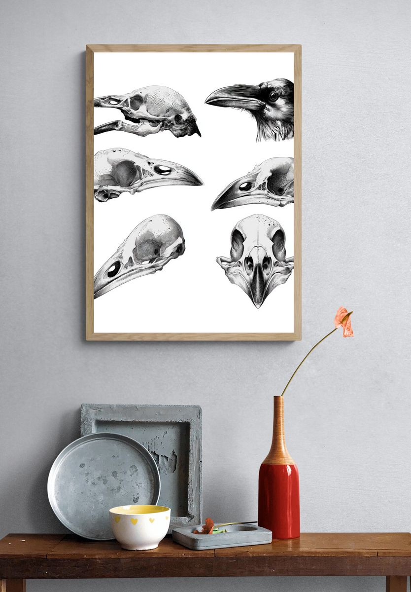 Raven Skull Study Print. — room view 3