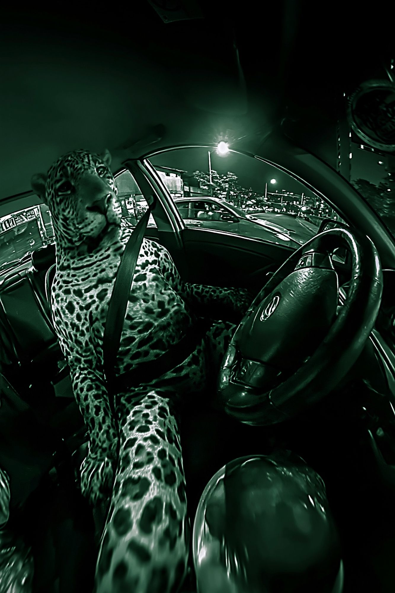 Leopard in Car Night Drive Poster. poster detail