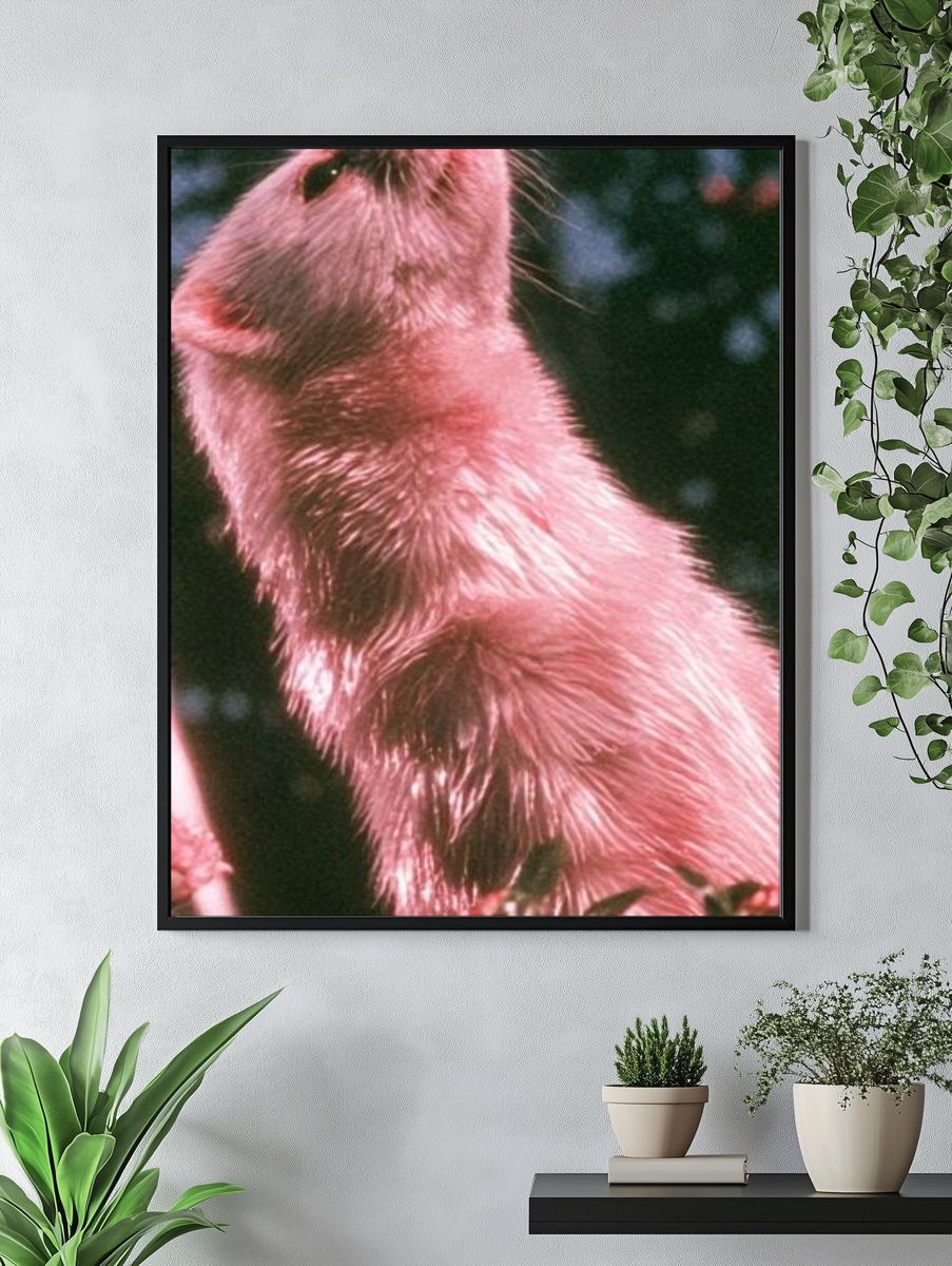 Pink Ferret Portrait Poster. — room view 4