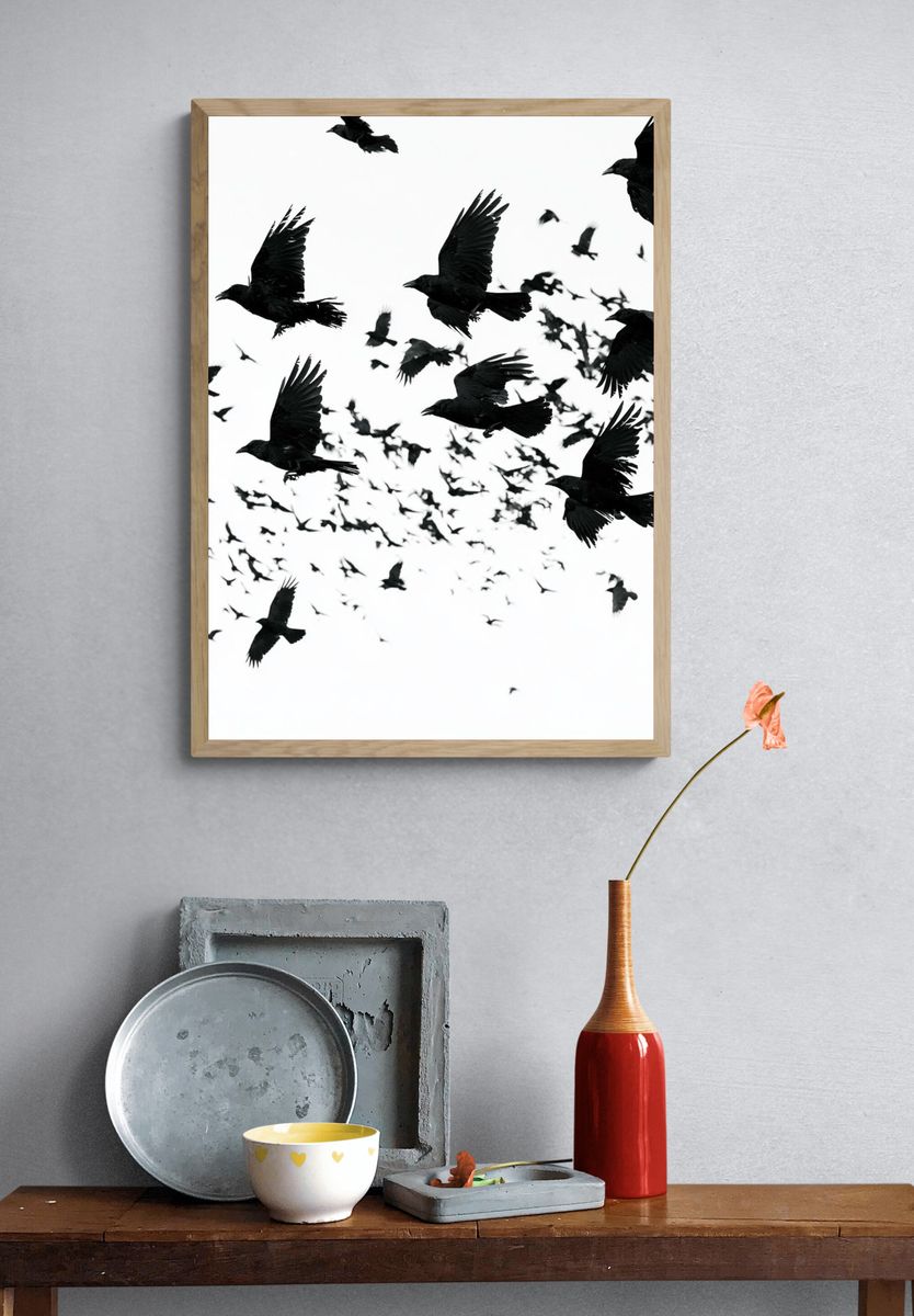 Flock of Ravens Photography Poster. — room view 3