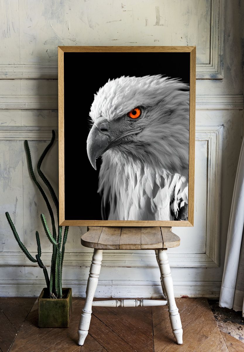 White Eagle Portrait Poster. room preview