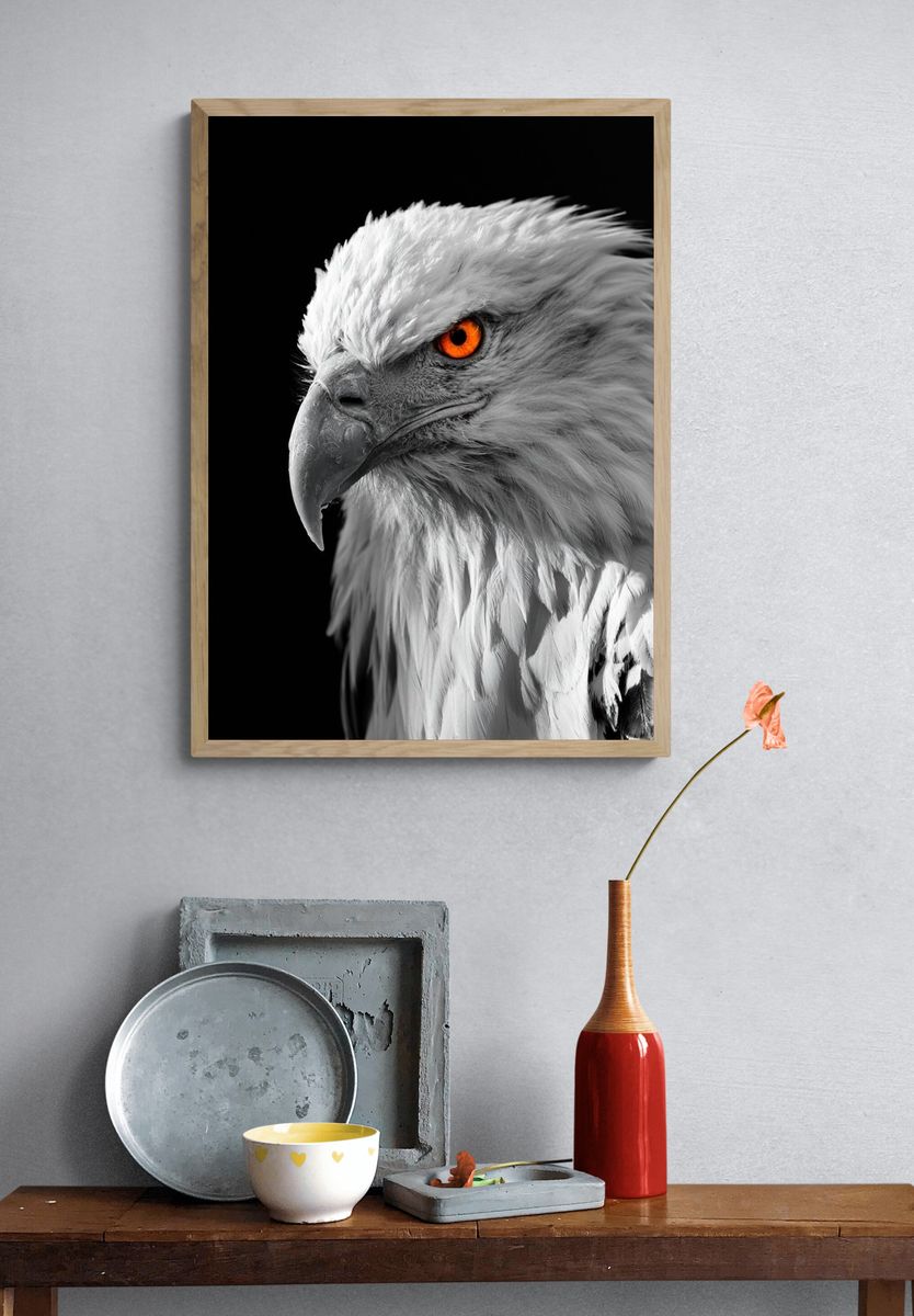 White Eagle Portrait Poster. — room view 3