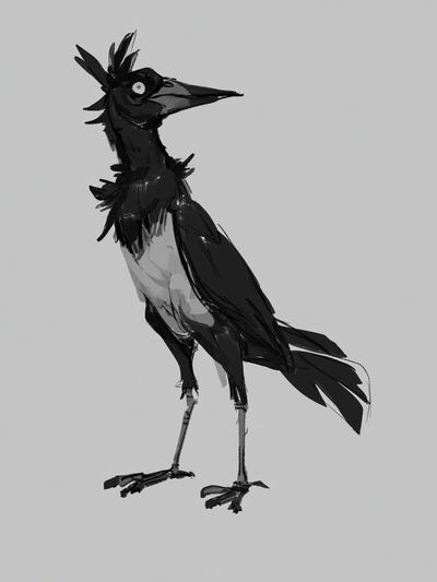 Black Crow Ink Illustration Poster. poster